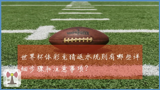世界杯体彩竞猜返水规则有哪些详细步骤和注意事项？