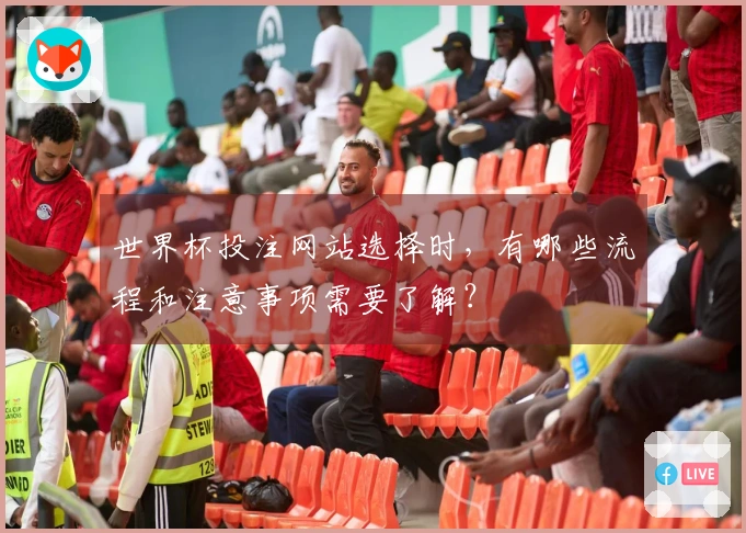 世界杯投注网站选择时，有哪些流程和注意事项需要了解？