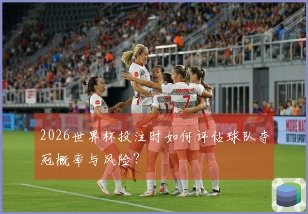 2026世界杯投注时如何评估球队夺冠概率与风险？
