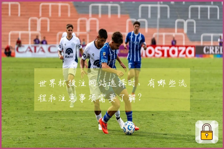 世界杯投注网站选择时，有哪些流程和注意事项需要了解？