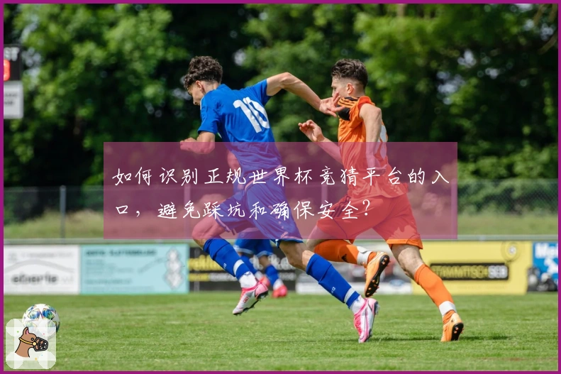 如何识别正规世界杯竞猜平台的入口，避免踩坑和确保安全？